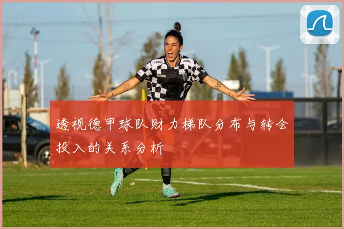 透视德甲球队财力梯队分布与转会投入的关系分析