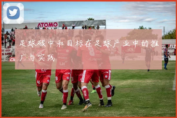 足球碳中和目标在足球产业中的推广与实践