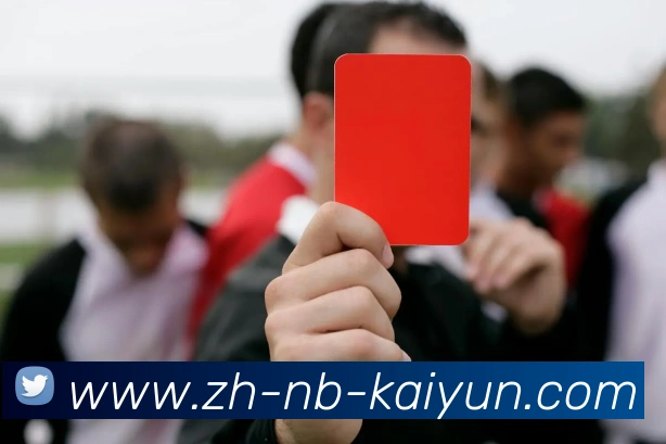 开云体育全站App